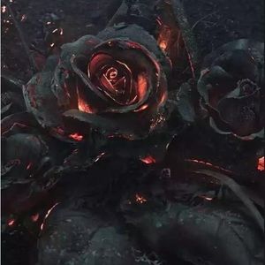 Meet your Posher, Dragon